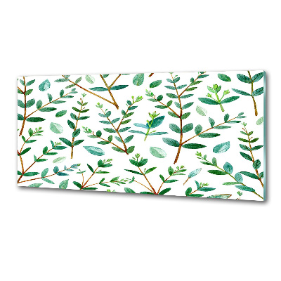 Panel de pared de cocina Eucalipto