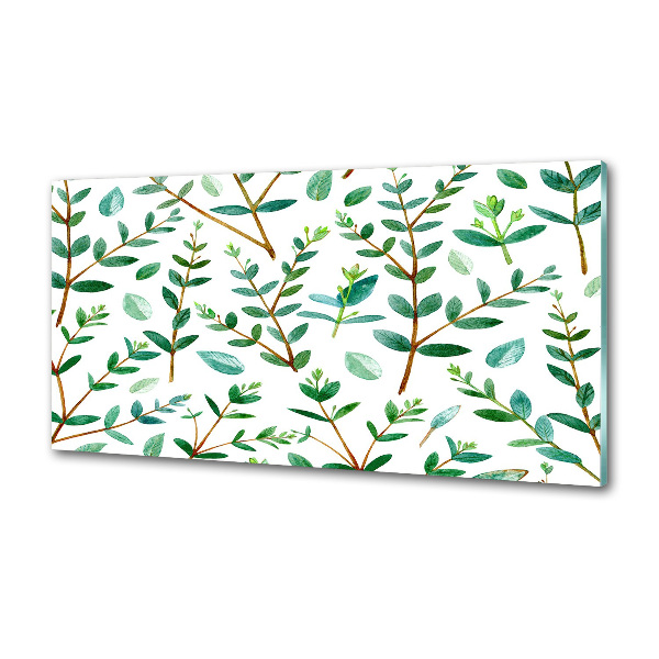 Panel de pared de cocina Eucalipto