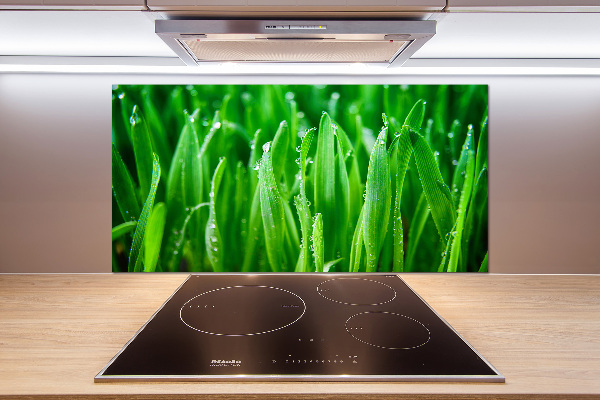 Salpicadero para cocina Césped