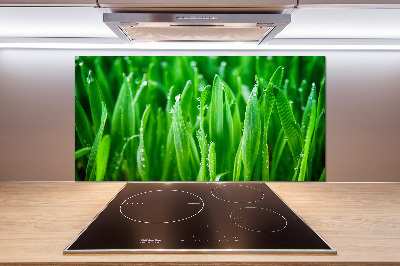 Salpicadero para cocina Césped