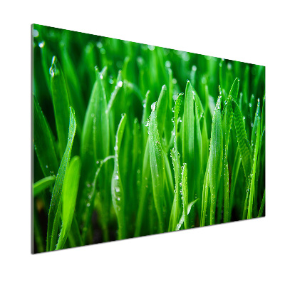 Salpicadero para cocina Césped