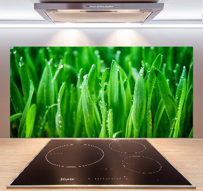 Salpicadero para cocina Césped