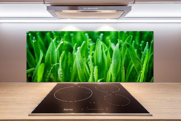 Salpicadero para cocina Césped