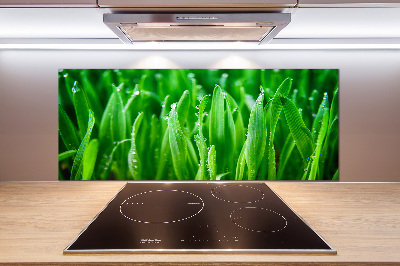 Salpicadero para cocina Césped