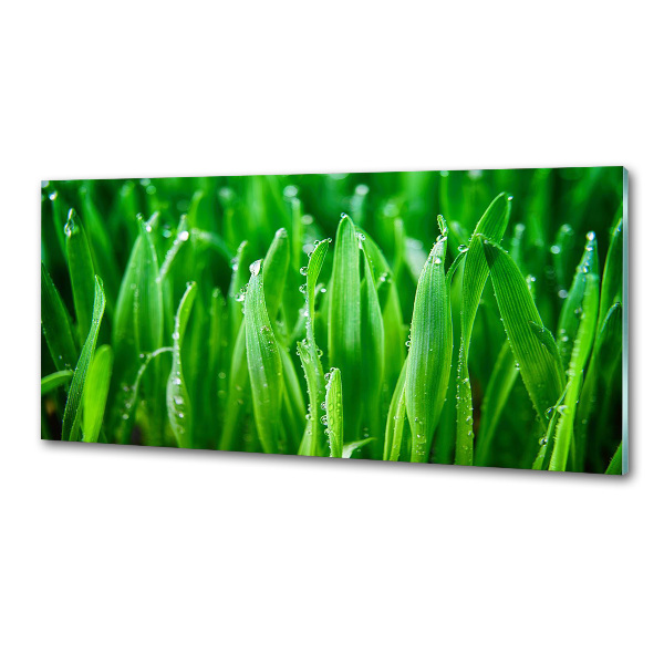 Salpicadero para cocina Césped