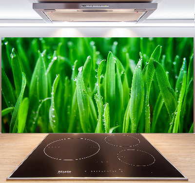 Salpicadero para cocina Césped