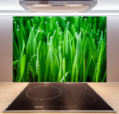 Salpicadero para cocina Césped