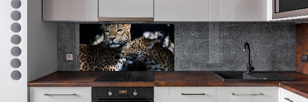 Salpicadero de cocina Dos leopardos