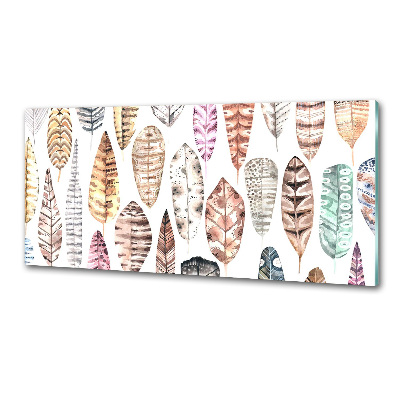 Salpicadero para cocina Plumas de colores