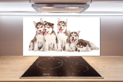 Panel antisalpicaduras Cachorros de husky