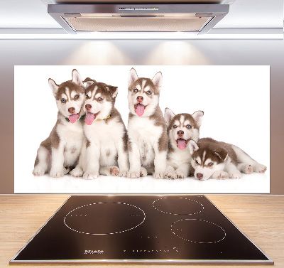 Panel antisalpicaduras Cachorros de husky
