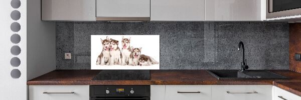 Panel antisalpicaduras Cachorros de husky