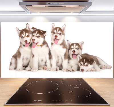 Panel antisalpicaduras Cachorros de husky