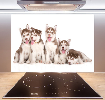 Panel antisalpicaduras Cachorros de husky