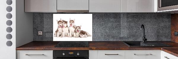 Panel antisalpicaduras Cachorros de husky