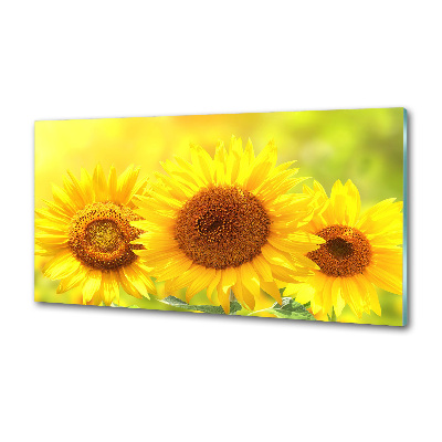 Panel antisalpicaduras Girasoles