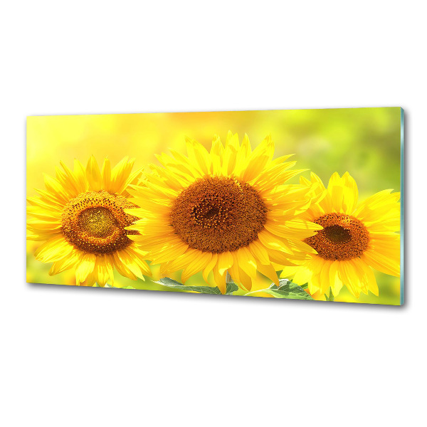 Panel antisalpicaduras Girasoles