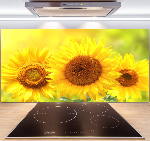 Panel antisalpicaduras Girasoles