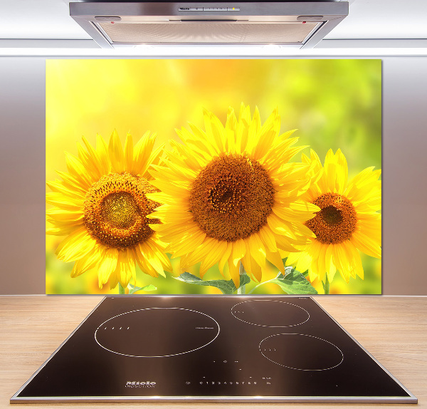 Panel antisalpicaduras Girasoles