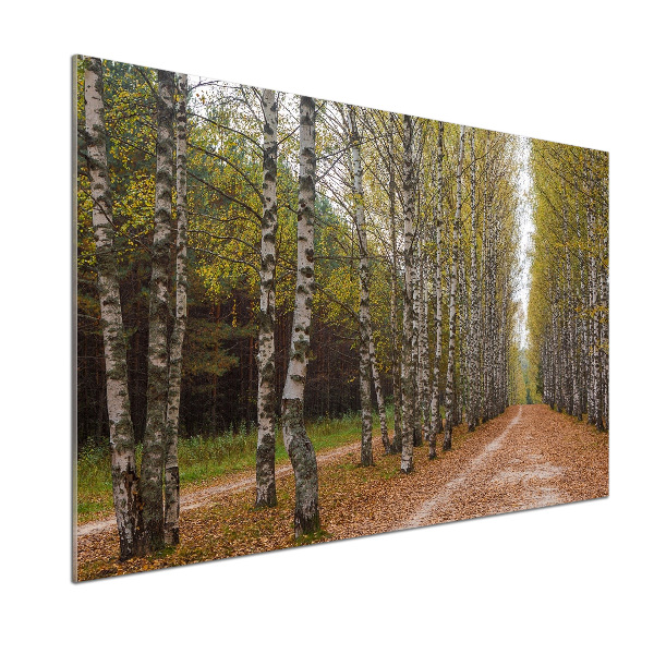 Panel dekor szkło Aleja brzóz
