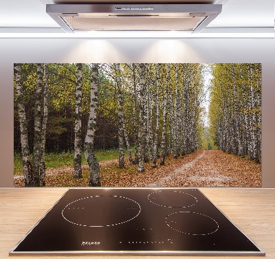 Salpicadero de cocina Avenida Birch