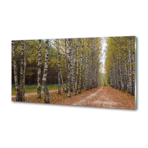 Salpicadero de cocina Avenida Birch