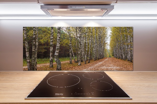 Salpicadero de cocina Avenida Birch