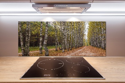 Panel dekor szkło Aleja brzóz