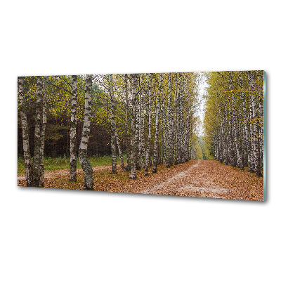 Salpicadero de cocina Avenida Birch