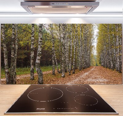 Salpicadero de cocina Avenida Birch