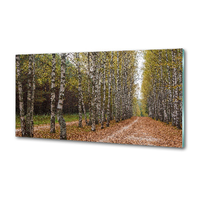 Salpicadero de cocina Avenida Birch