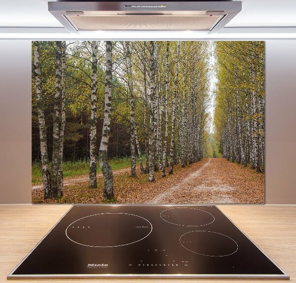 Panel dekor szkło Aleja brzóz