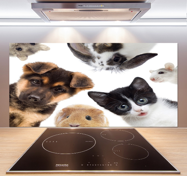 Panel para cocina Mascotas