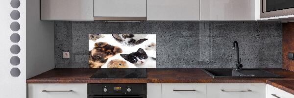 Panel para cocina Mascotas
