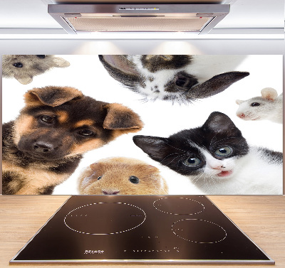 Panel para cocina Mascotas