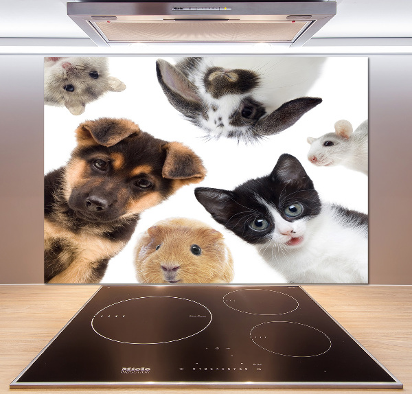 Panel para cocina Mascotas