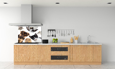 Panel para cocina Mascotas