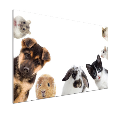 Salpicadero para cocina Mascotas