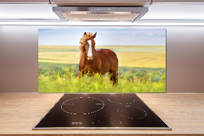 Panel de pared de cocina Caballo marrón