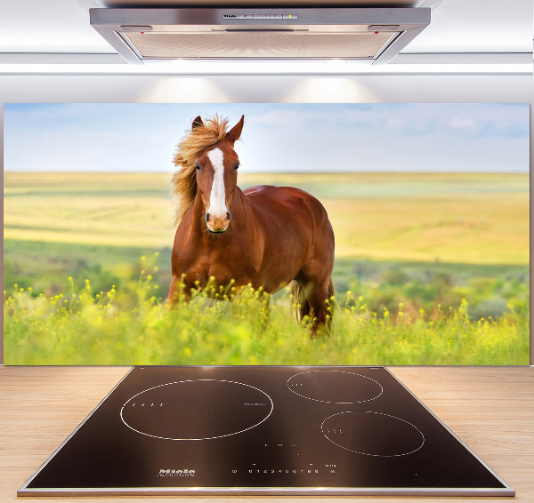 Panel de pared de cocina Caballo marrón