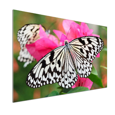 Panel antisalpicaduras Mariposa en una flor