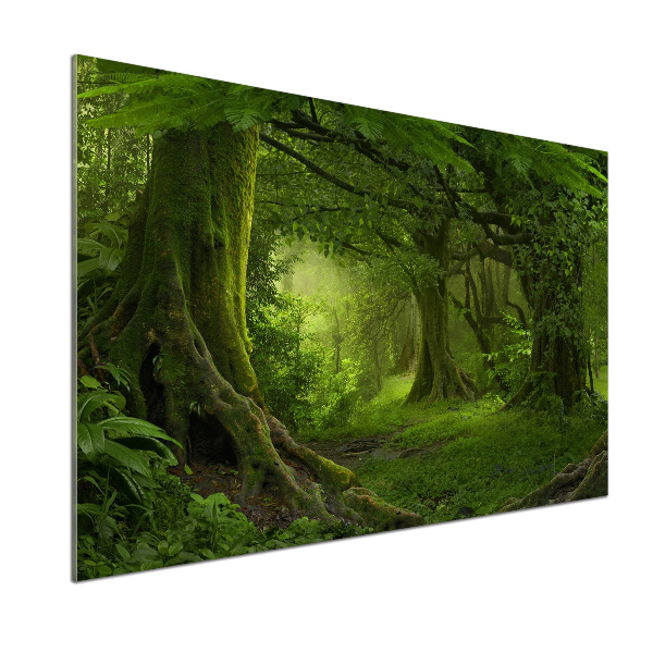 Panel de pared de cocina Selva tropical