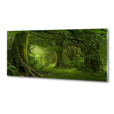 Panel de pared de cocina Selva tropical