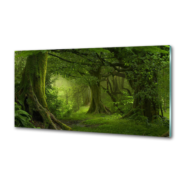Panel de pared de cocina Selva tropical