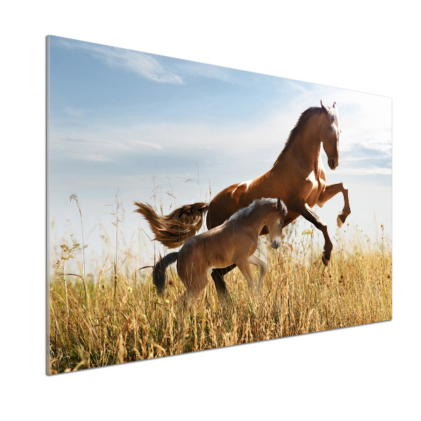 Salpicadero para cocina Yegua con potro