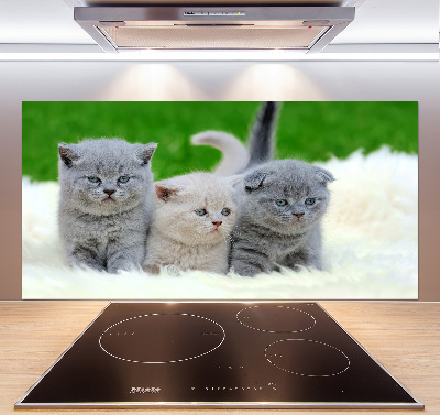 Panel de pared de cocina Tres gatos sobre una manta