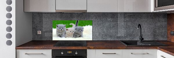 Panel de pared de cocina Tres gatos sobre una manta