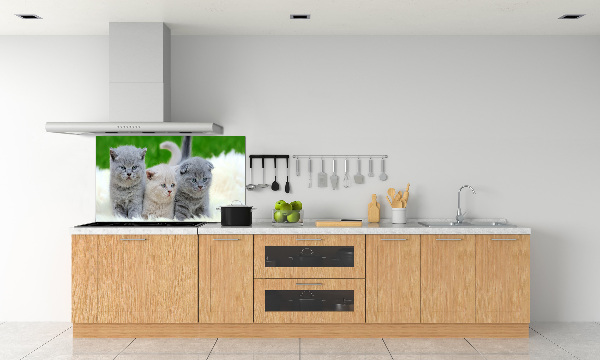 Panel de pared de cocina Tres gatos sobre una manta