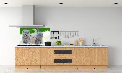 Panel de pared de cocina Tres gatos sobre una manta