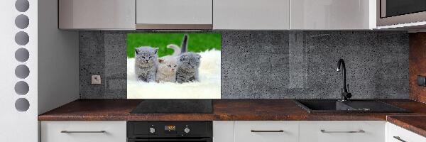 Panel de pared de cocina Tres gatos sobre una manta